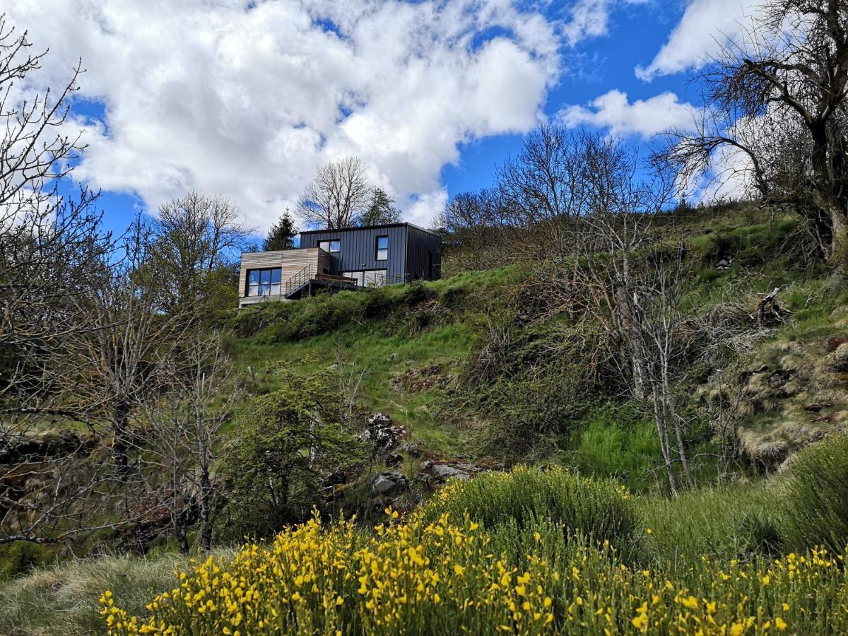Maison D'Architecte En Pleine Nature Arlempdes ภายนอก รูปภาพ